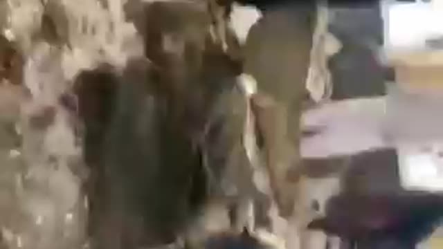 A Suicide Bomber Was Blown Up in Shiite Mosque in Kunduz