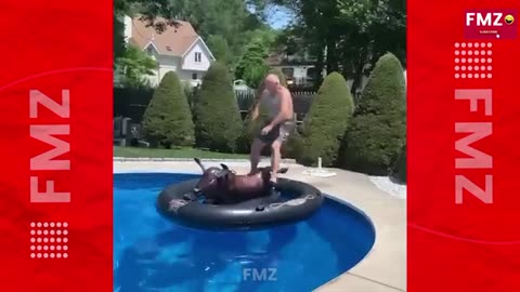 Funny Fails compilation 2024 | Try not to Laugh P01