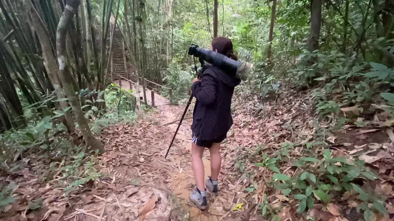 Khao Sok