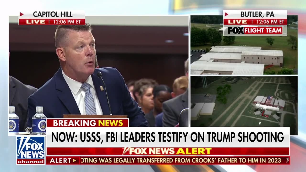 Secret Service Director acting about firing?