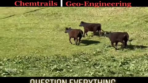 Weather Modification