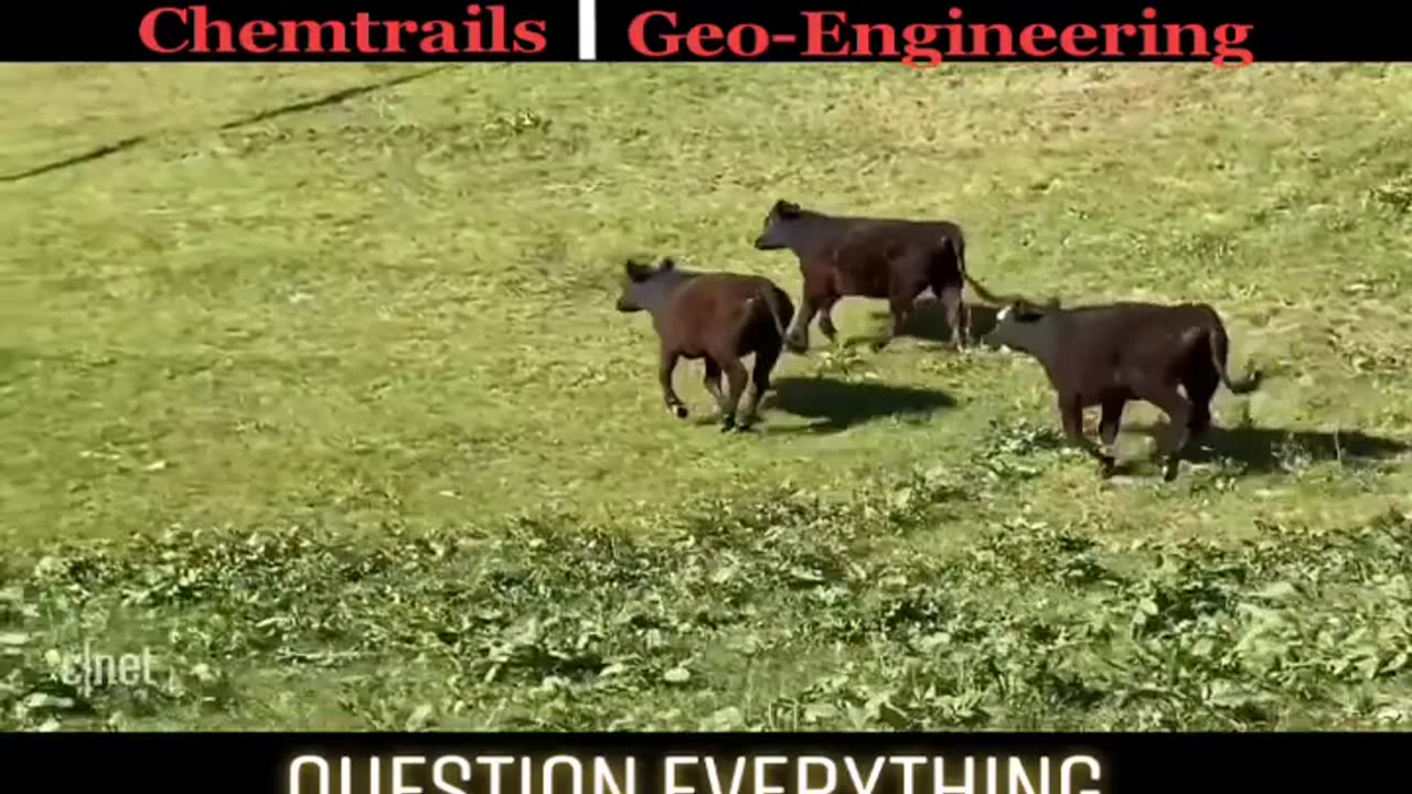 Weather Modification