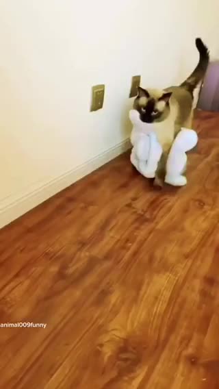 hilarious compilation..