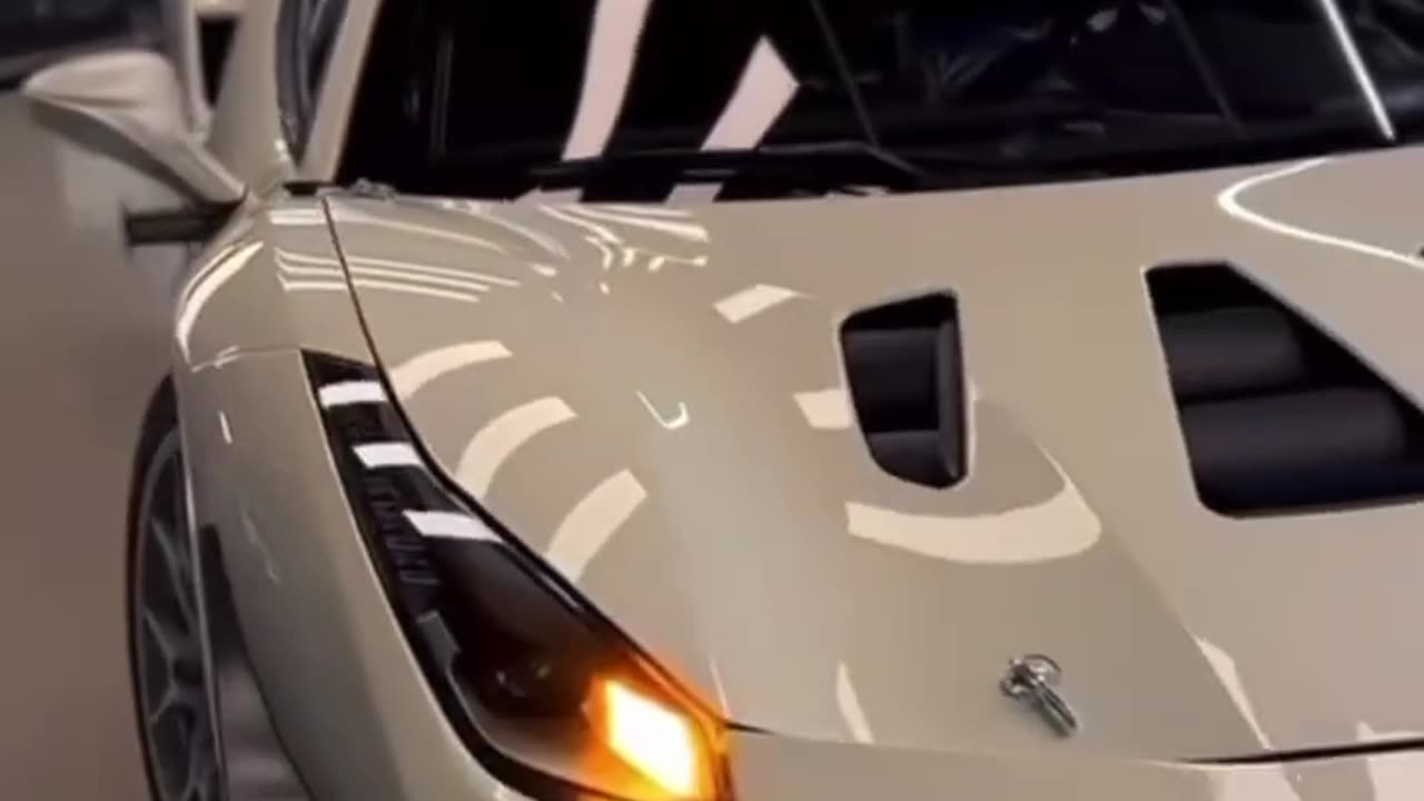 DISCIPLINE AND DIVINE PURPOSE __ Andrew Tate