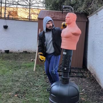 boxing bob