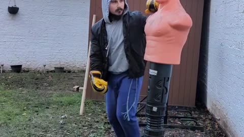 boxing bob