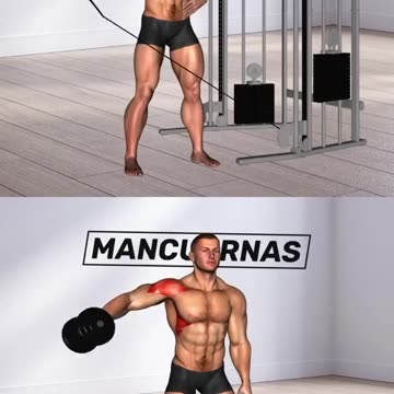 Gym And Home Workout Exercises For Shoulders