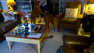 July 17, 2018 Little Family Happy Hour