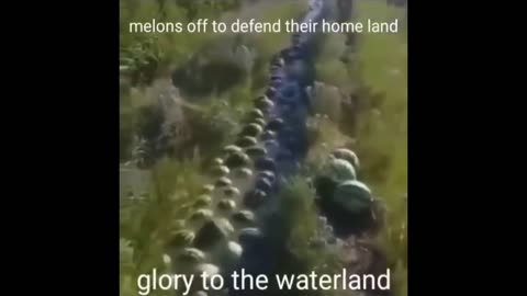 Memes By 69 #3