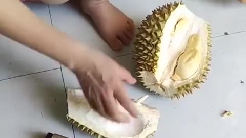 Durian