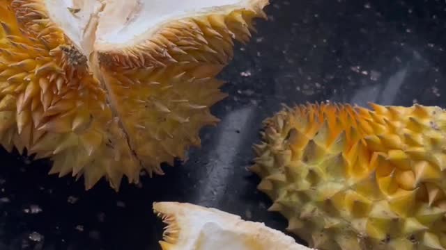 Eat durian