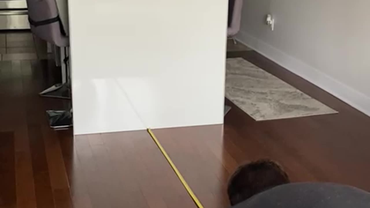 Measuring Cat's Crazy Long Jump