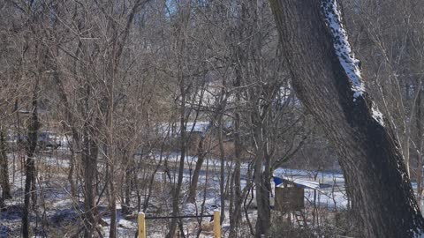 10:30am & it is 27 defree but the sun melting snow.
