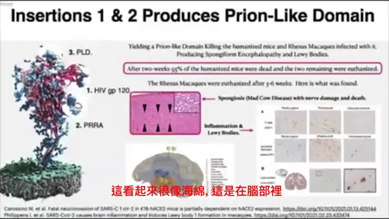 Richard M. Fleming Spike Protein 棘蛋白 中文字幕