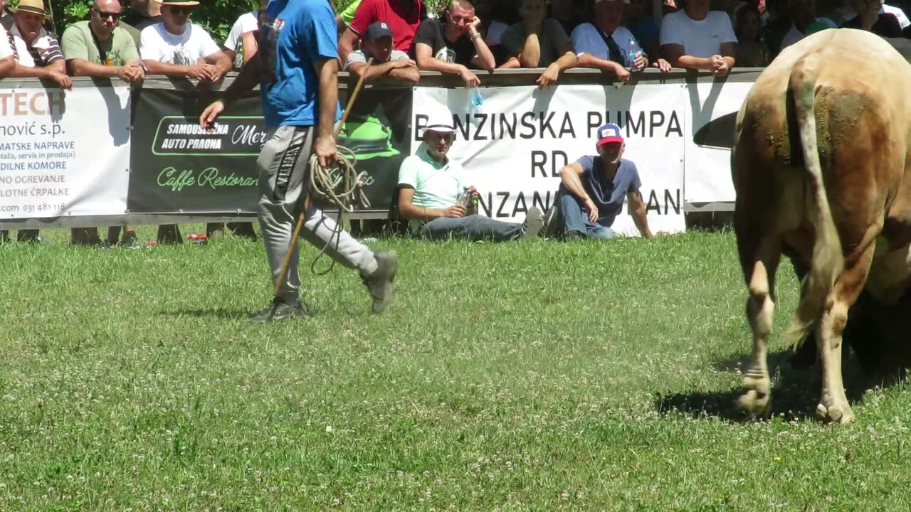 Orginalac Selman vs Balti od Levića Bronzani Majdan 2024