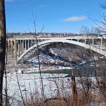 WNY & Canada Freedom Rally - Niagara Falls Rainbow Bridge
