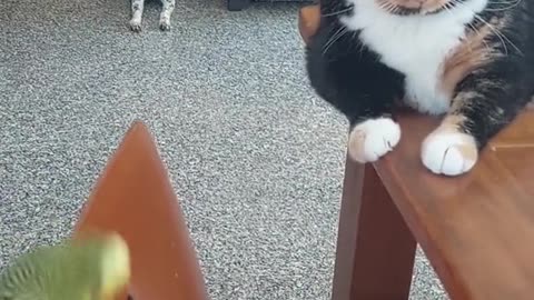 Trying to get the party started 😊