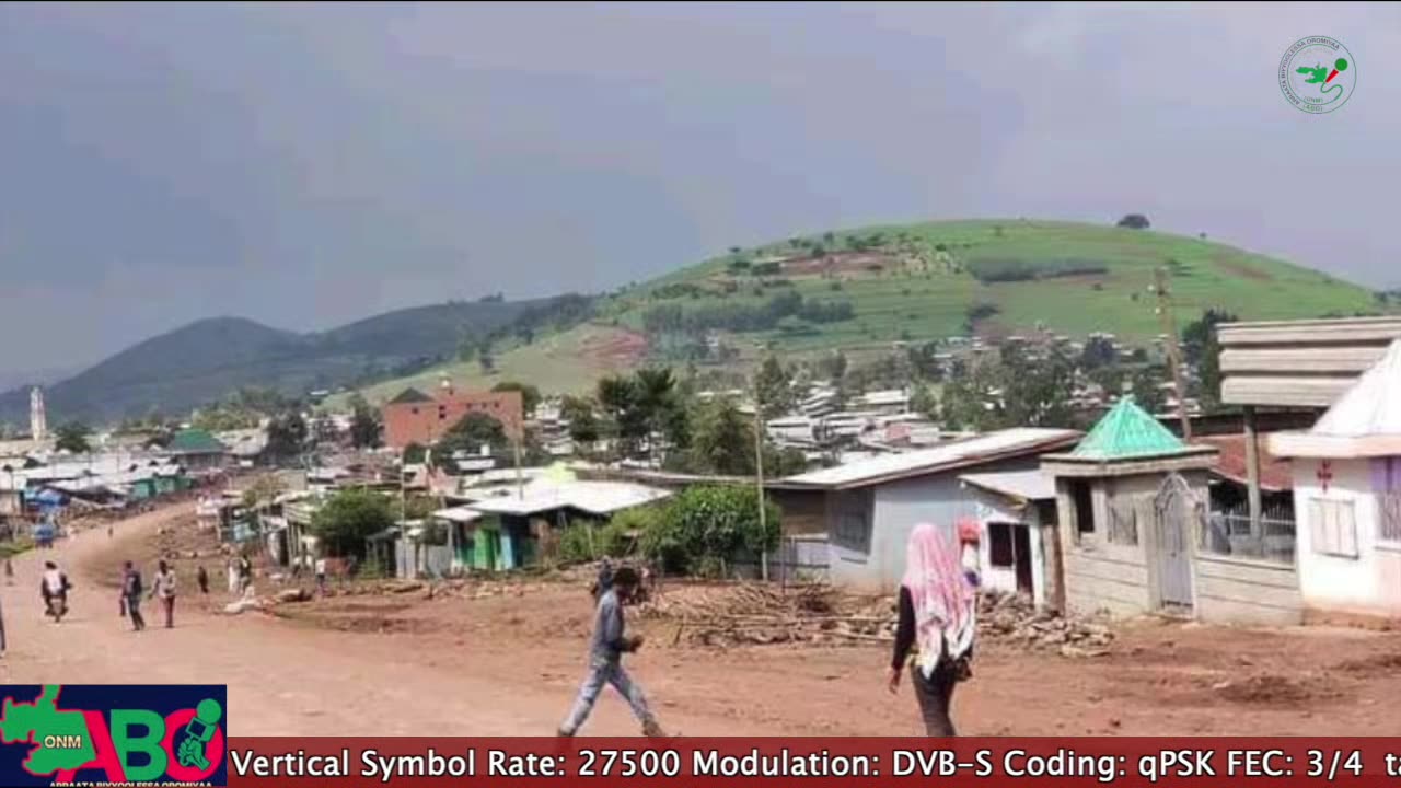 Oduu Waaree ONM-ABO Adoolessa 12 -2024 itti dhiyaadhaa!