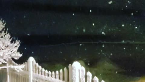 Beautiful snow in SC