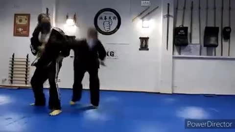 Hapkido