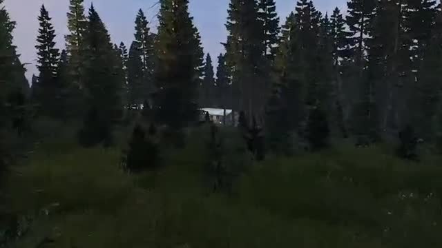 DayZ test video