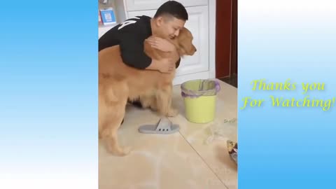 Best Funny Animal Videos of the year 2024_ funnies video