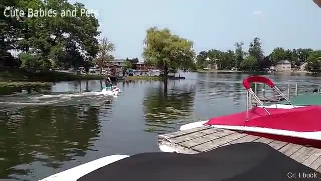 funny moment Funniest Animals Scaring People Reactions