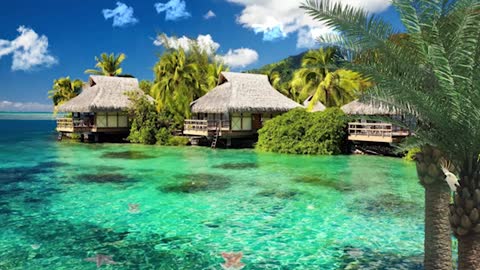 ASMR | Ocean Ambience on a Tropical Island With Soothing Waves | Relaxing Beach day