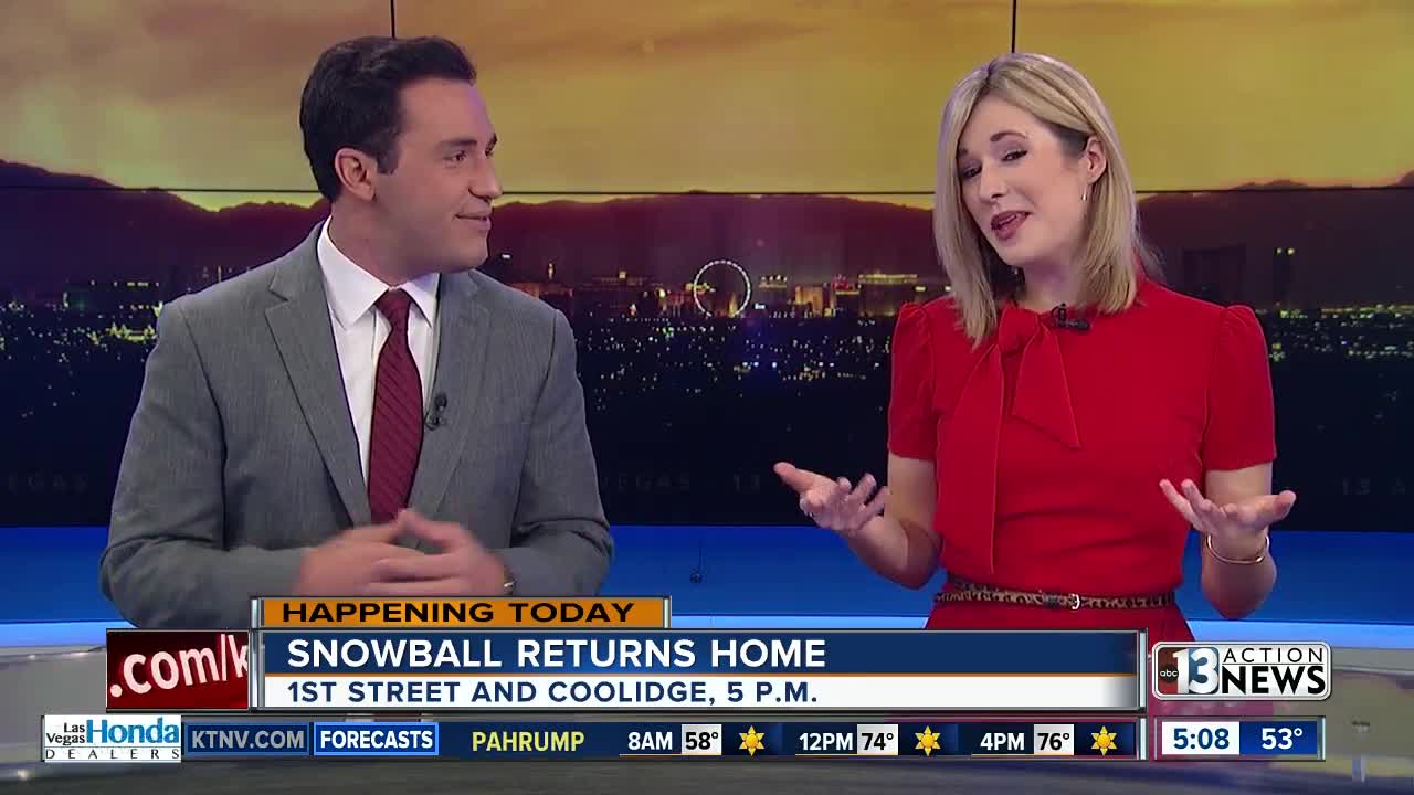 Snowball returning to Arts District