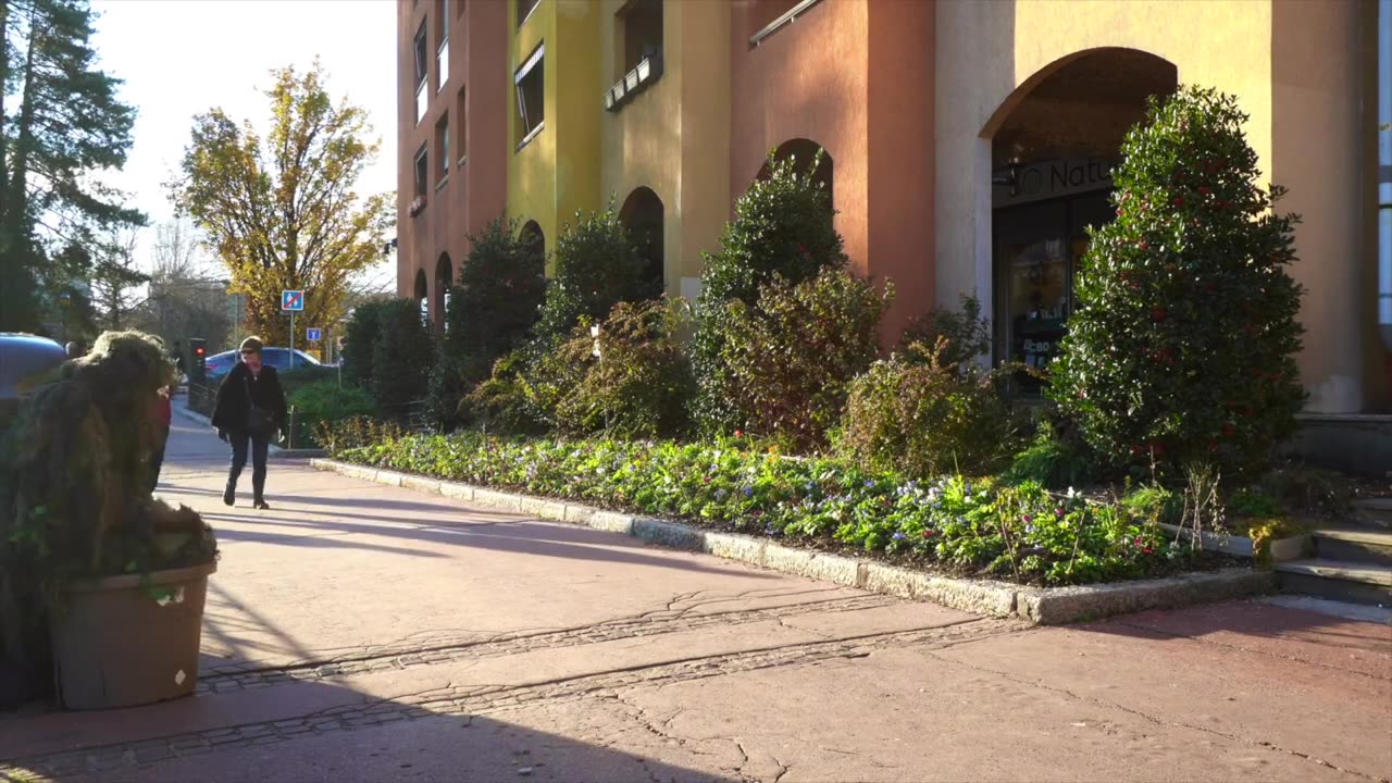 Bushman Prank Video