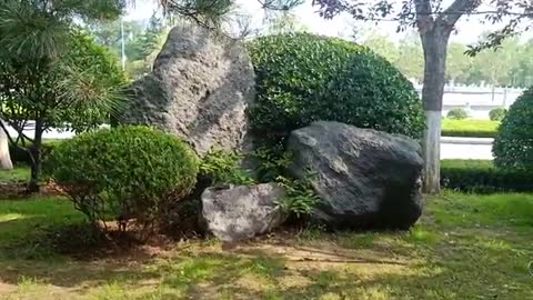 The rockery is covered with vegetation