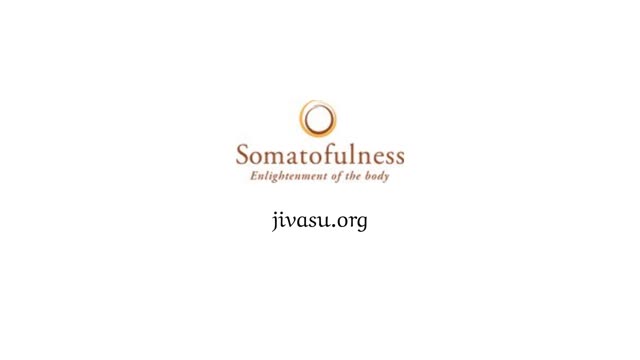 How To Meditate Properly | Somatofulness
