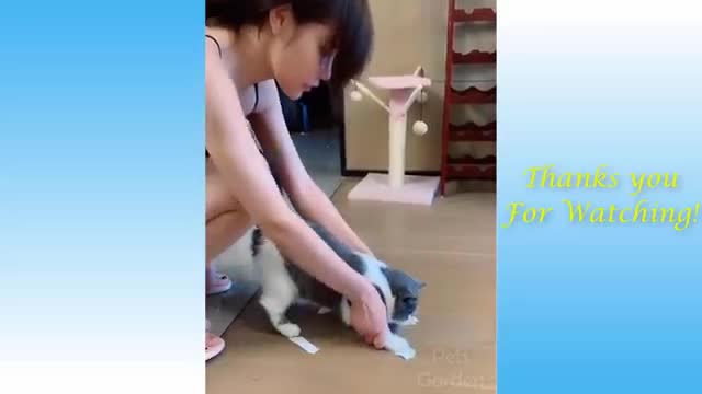 Funny And Cute Cat's Life🤣🤣🤣🤣