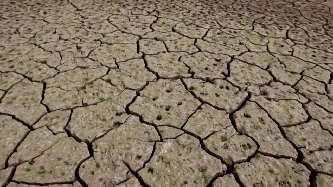 World hits year-long breach of 1.5C threshold, EU says