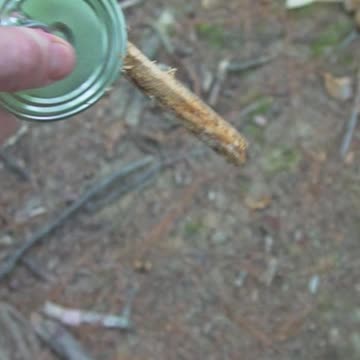 Survival Skills: Tool from a Tin Can