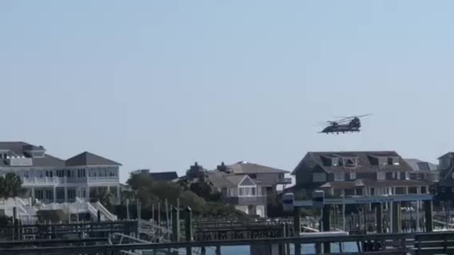 Two Birds Over The Ocean