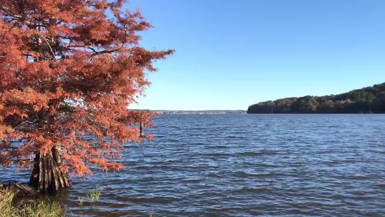 GOD’S Beautiful Creation