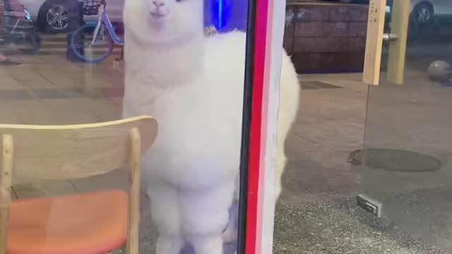 Don't you guys think I'm cute?? looking so cute