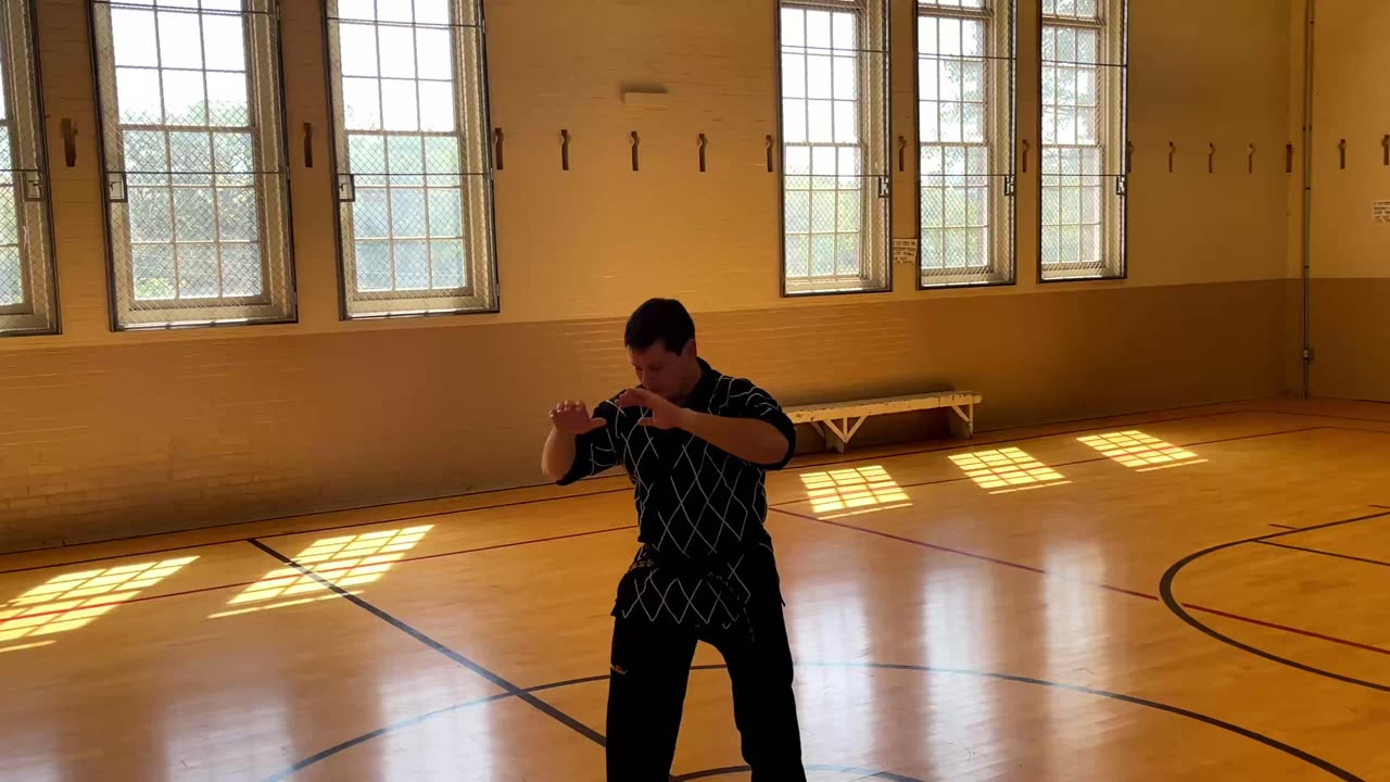 Seiyo-ryu Aikibujutsu Cross