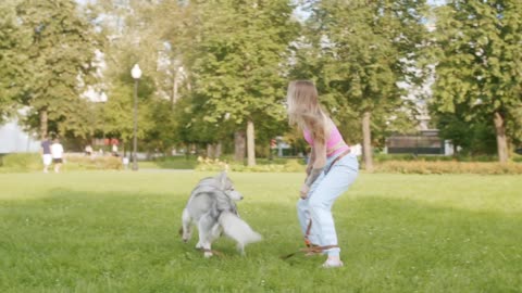 Learn how to train your dog against unwanted behaviour