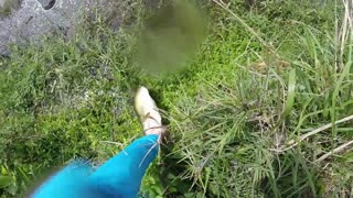 Fisherman Nearly Gets Caught