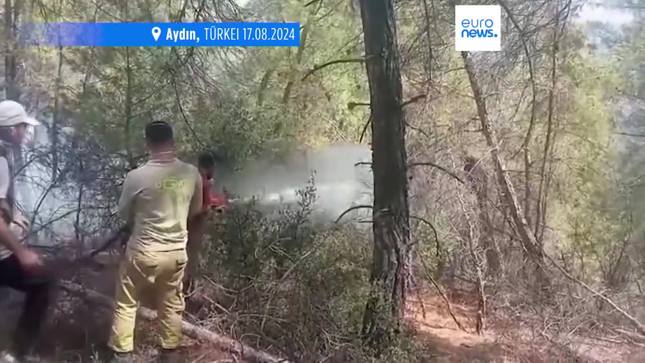 Die meisten Waldbrände in der Westtürkei unter Kontrolle