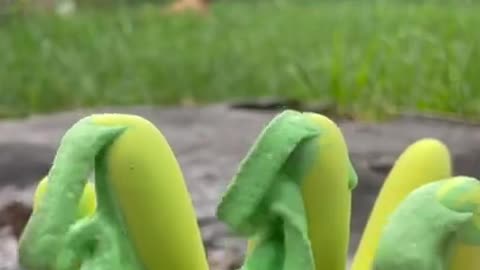 Oddly Satisfying video #shorts