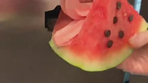 Watermelon and ice cream