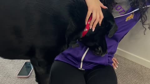POV: Your Dog Realizes Your Cousin is Pregnant