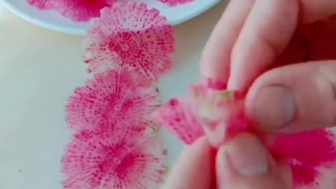 Radish flowers