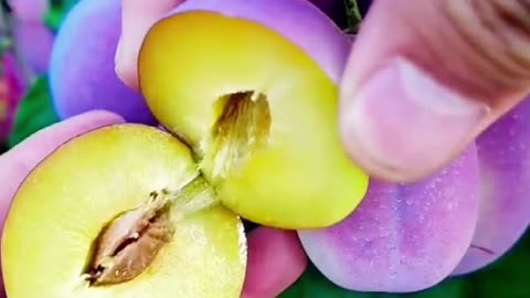 Organic fruits and vegetables