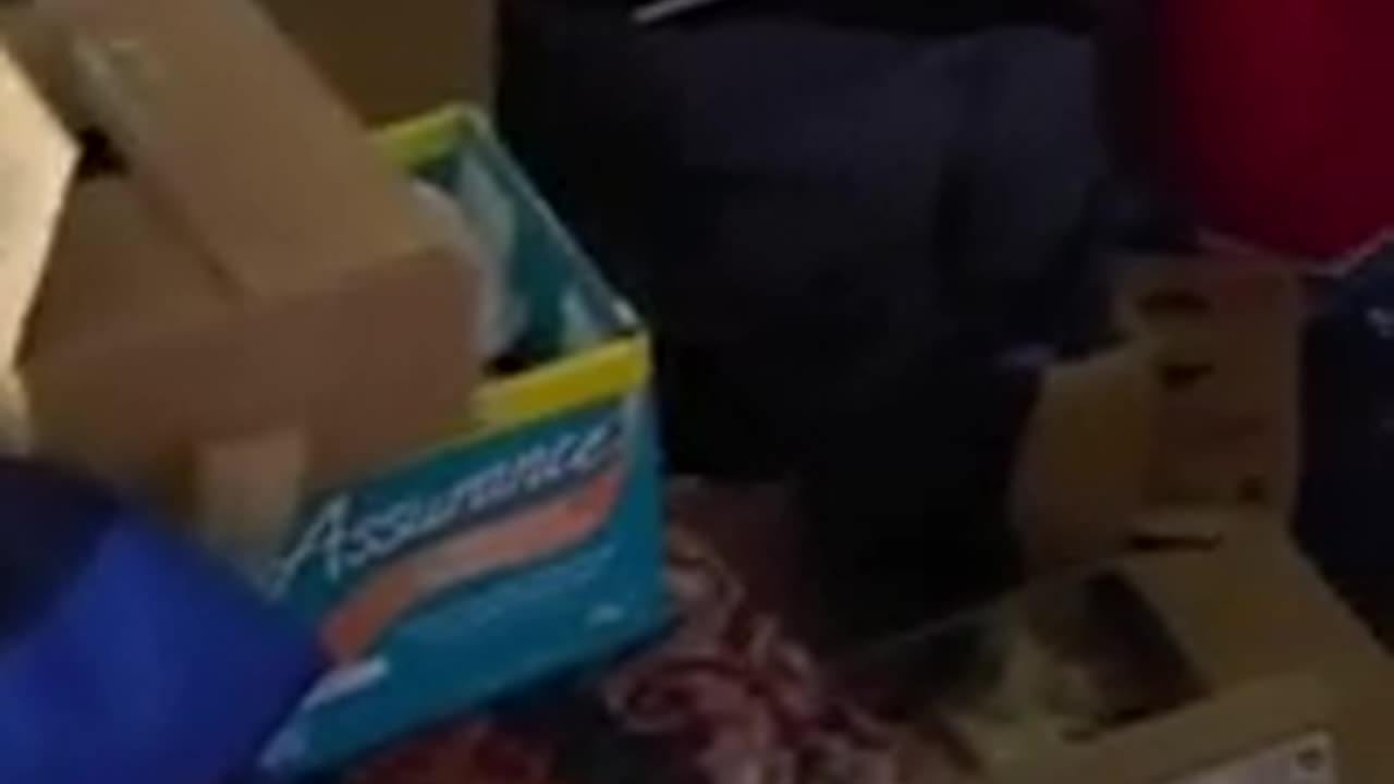 “My room is messy and I want help” (April 2020)