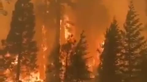 ⚡️ Wildfires continue in California