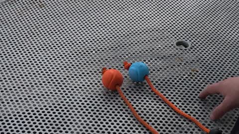 Autocostruzione di un super gioco per cani